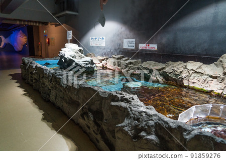 Noboribetsu Marine Park Nixe Touch Pool Noboribetsu Marine Park Nixe Touch Pool 91859276