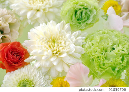 Red roses, white dahlias, green carnations 91859706