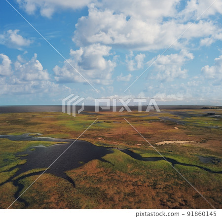 Aerial view of Swamp near Gulf of Mexico in Florida 91860145