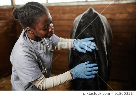 Black Young Woman as Veterinarian Black Young Woman as Veterinarian 91860331