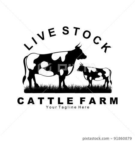 cow animal logo, cattle farm, dairy farm animal illustration design 91860879
