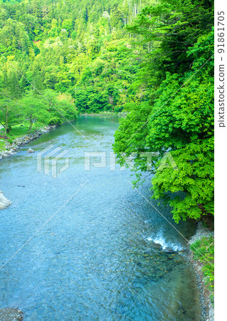 View of the downstream from Shima River Yuhara Bridge, fresh green scenery View of the downstream from Shima River Yuhara Bridge, fresh green scenery 91861705