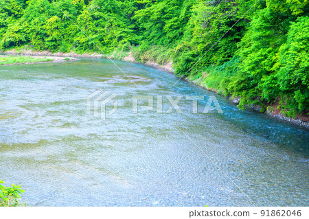 從志摩川湯原橋附近向下游方向眺望新鮮的綠色風景 從志摩川湯原橋附近向下游方向眺望新鮮的綠色風景 91862046