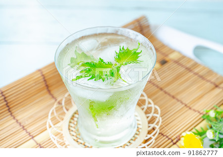 綠紫蘇汁 綠紫蘇汁 91862777