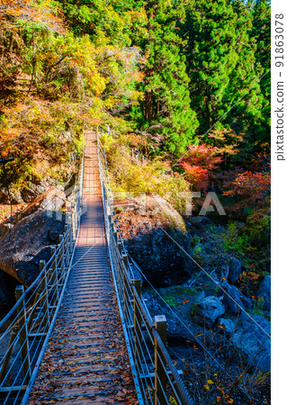 大柳川峽谷(秋季):龍泉橋 大柳川峽谷(秋季):龍泉橋 91863078