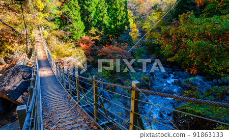 大柳川峽谷(秋季):龍泉橋 大柳川峽谷(秋季):龍泉橋 91863133
