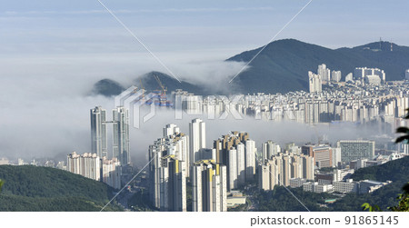 釜山海雲台的早晨,黎明時分被霧遮住 釜山海雲台的早晨,黎明時分被霧遮住 91865145