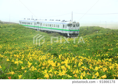Koshimizu Wild Flower Garden and Kusami Line Koshimizu Wild Flower Garden and Kusami Line 91866178