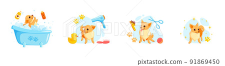 Dog grooming in a bath with pet shampoo, combs and rubber ducks. Playful chihuahua puppy in grooming service. Vector illustration Dog grooming in a bath with pet shampoo, combs and rubber ducks. Playful chihuahua puppy in grooming service. Vector illustration 91869450