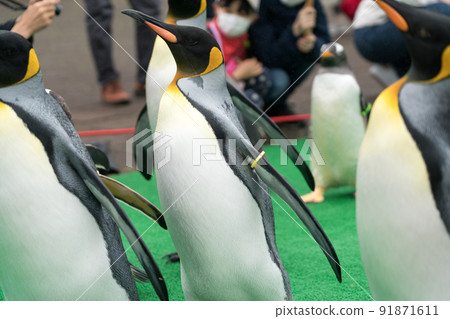 Noboribetsu Marine Park Nixe (Penguins Parade) Noboribetsu Marine Park Nixe (Penguins Parade) 91871611