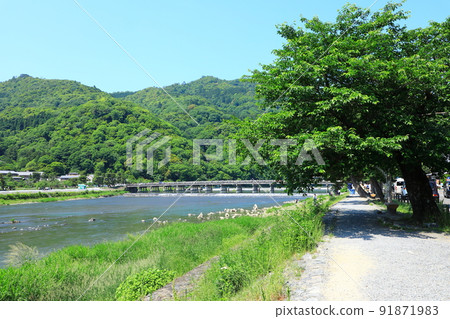 初夏的嵐山,綠意盎然的渡月橋 初夏的嵐山,綠意盎然的渡月橋 91871983