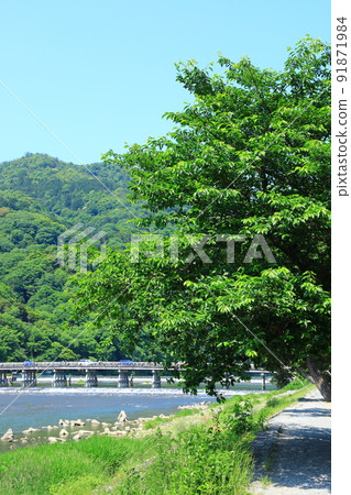 初夏的嵐山,綠意盎然的渡月橋 初夏的嵐山,綠意盎然的渡月橋 91871984