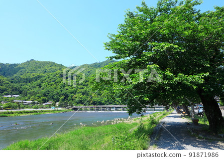 初夏的嵐山,綠意盎然的渡月橋 初夏的嵐山,綠意盎然的渡月橋 91871986