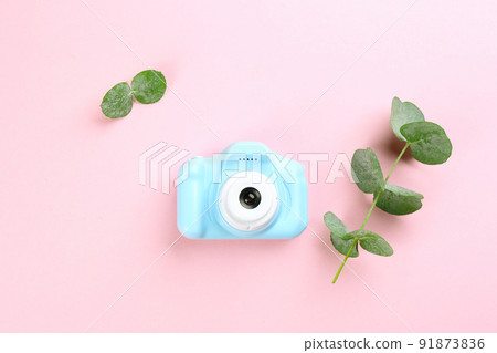 Toy camera and eucalyptus on pink background, top view Toy camera and eucalyptus on pink background, top view 91873836