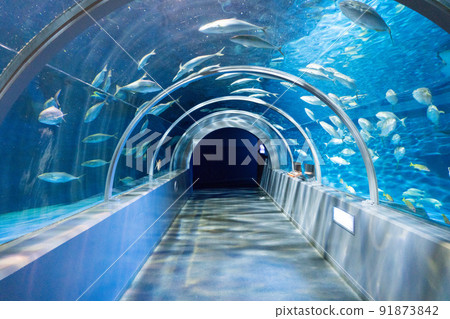 Noboribetsu Marine Parknics 91873842