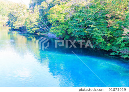 初秋翠綠碧藍支笏湖 91873939