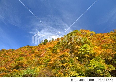秋葉和藍天山 秋葉和藍天山 91875562