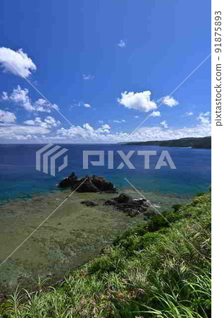 Coastal scenery of Amami Oshima (Oganekufureai Park) 91875893