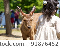 Deer in Nara Park interacting with children 91876452