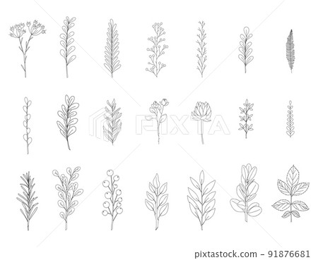 A set of hand-drawn twigs with leaves. Doodle style. Botanical, plant elements.Black and white vector illustrations in cartoon style. Isolated on a white background A set of hand-drawn twigs with leaves. Doodle style. Botanical, plant elements.Black and white vector illustrations in cartoon style. Isolated on a white background 91876681