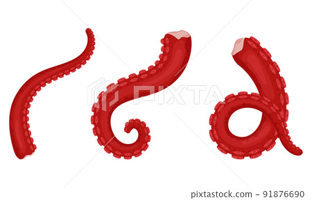Raw, fresh octopus tentacles with suckers. Exotic sea food. A marine animal. Flat style. Color vector illustration isolated on a white background 91876690