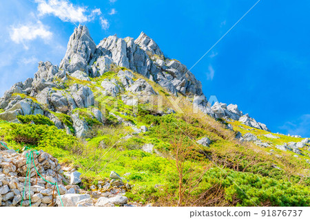 [登山資料]初夏千疊敷馬戲團的登山風景[長野縣] 91876737