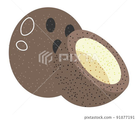 Coconut tropical exotic fruit with milk vector 91877191