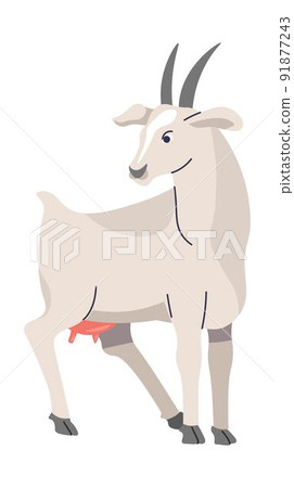 Goat domestic and farm animals, livestock vector 91877243