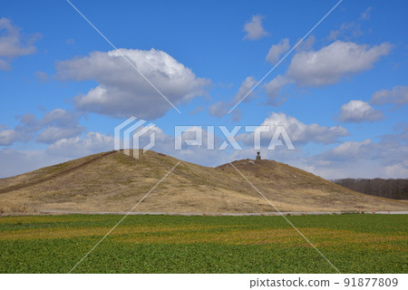Biwazuka Kofun, Oyama City, Tochigi Prefecture Biwazuka Kofun, Oyama City, Tochigi Prefecture 91877809