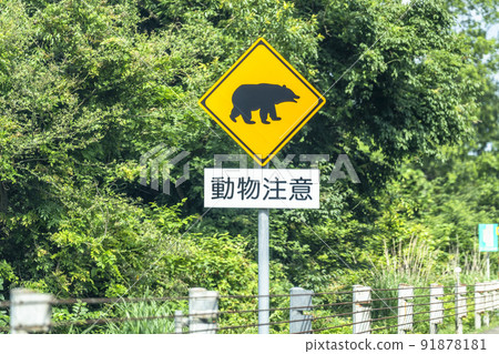 Animal caution sign bear 91878181