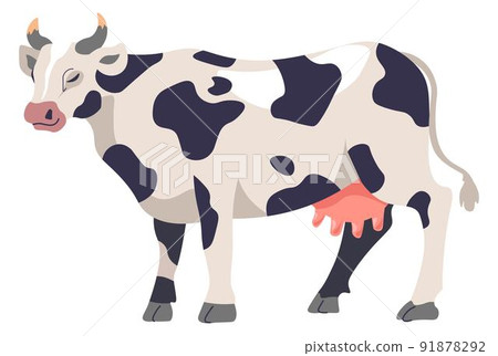 Cow cattle, farming and agriculture, breeding 91878292