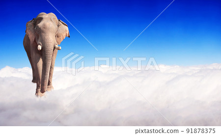 Horizontal banner with elephant above clouds 91878375
