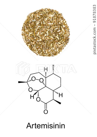 Artemisia annua herb circle, and the chemical formula of artemisinin. Dried sweet wormwood, and chemical structure of the plant extract, a medication to treat malaria, also used in TCM to treat fever. 91878383