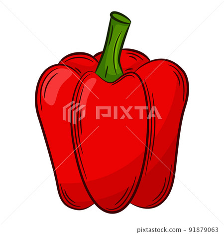 Paprika Pepper. A vegetable in a linear style, drawn by hand. Food ingredient, design element.Color vector illustration with outline. Isolated on a white background Paprika Pepper. A vegetable in a linear style, drawn by hand. Food ingredient, design element.Color vector illustration with outline. Isolated on a white background 91879063