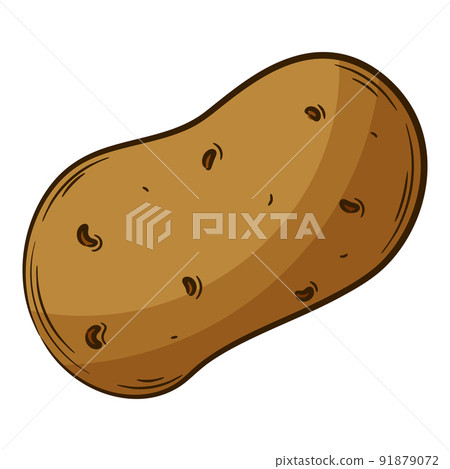 Whole potatoes. A vegetable in a linear style, drawn by hand. Food ingredient, design element.Color vector illustration with outline. Isolated on a white background Whole potatoes. A vegetable in a linear style, drawn by hand. Food ingredient, design element.Color vector illustration with outline. Isolated on a white background 91879072
