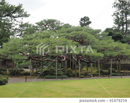 兼六園 兼六園 91879259