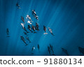 A large herd of wild dolphins 91880134