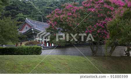 Summer scenery of Gwangju Pochungsa Temple in full bloom Summer scenery of Gwangju Pochungsa Temple in full bloom 91880399