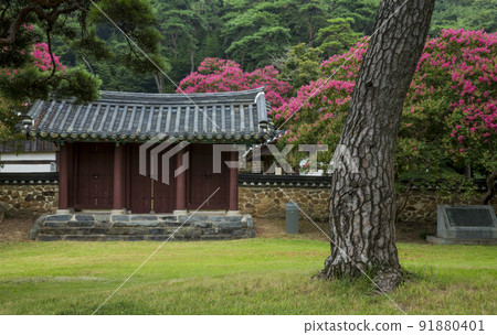 Summer scenery of Gwangju Pochungsa Temple in full bloom Summer scenery of Gwangju Pochungsa Temple in full bloom 91880401
