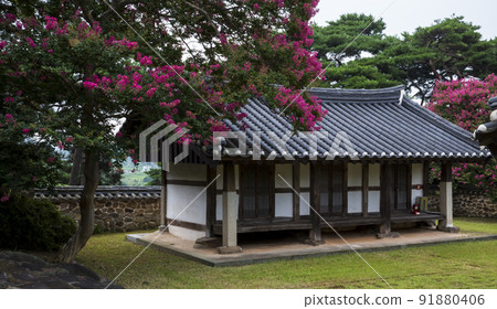 Summer scenery of Gwangju Pochungsa Temple in full bloom Summer scenery of Gwangju Pochungsa Temple in full bloom 91880406