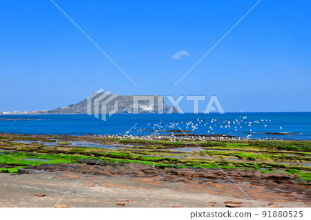 城山海水浴場，光池基海水浴場，城山日出峰，日出峰山頂，大海，退潮，海鷗， 91880525