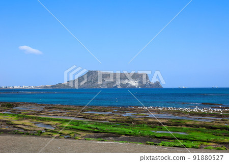 城山海水浴場，光池基海水浴場，城山日出峰，日出峰山頂，大海，退潮，海鷗， 91880527