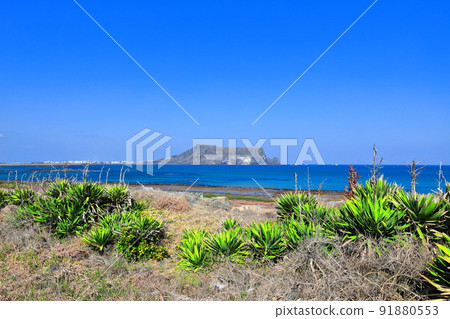 城山海水浴場，光池基海水浴場，城山日出峰，日出峰山頂，大海，退潮，海鷗， 91880553