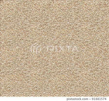 barley grain light beige background, base for brewing ale and beer barley grain light beige background, base for brewing ale and beer 91881574