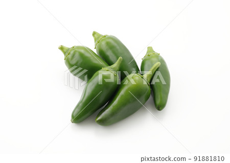 Children's green pepper Children's green pepper 91881810