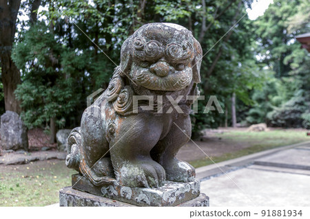 水地神社後面的守護犬,供奉著被森林環繞的關東地區最古老的水神。 水地神社後面的守護犬,供奉著被森林環繞的關東地區最古老的水神。 91881934
