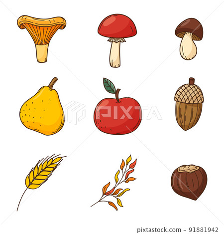 A set of colored doodles. Forest mushrooms, acorns, nuts, harvest. Autumn decorative elements with outline and fill. Color vector illustration isolated on a white background. A set of colored doodles. Forest mushrooms, acorns, nuts, harvest. Autumn decorative elements with outline and fill. Color vector illustration isolated on a white background. 91881942
