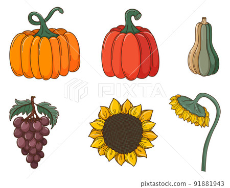 A set of colored doodles. Different pumpkins, sunflowers, grapes, crops. Autumn decorative elements with outline and fill. Color vector illustration isolated on a white background. A set of colored doodles. Different pumpkins, sunflowers, grapes, crops. Autumn decorative elements with outline and fill. Color vector illustration isolated on a white background. 91881943