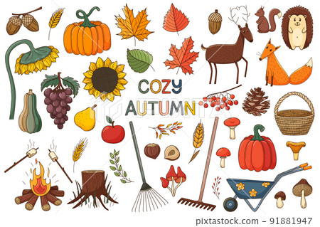 A set of elements on the theme of autumn. Forest animals, harvest. A large design collection of colored doodle elements with a stroke and fill. Flat. Vector illustration. Isolated on white 91881947