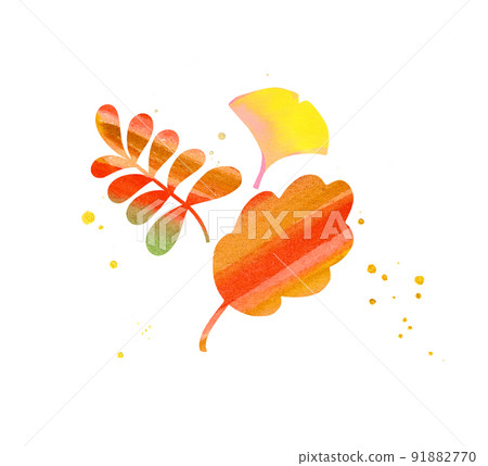 Illustration of autumn leaves 91882770